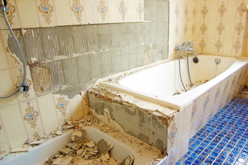 Professional Bathroom Renovation